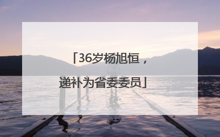 36岁杨旭恒，递补为省委委员
