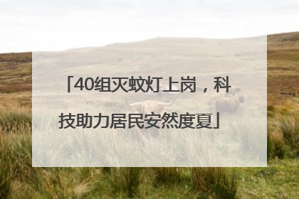 40组灭蚊灯上岗，科技助力居民安然度夏