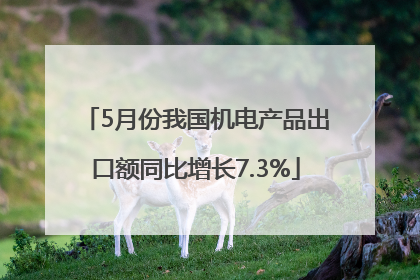5月份我国机电产品出口额同比增长7.3%