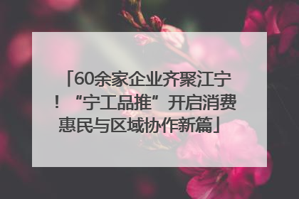 60余家企业齐聚江宁！“宁工品推”开启消费惠民与区域协作新篇